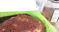 Everything Pork Dry Rub Everything Pork Dry Rub