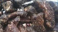 Beef Jerky in a Smoker Beef Jerky in a Smoker