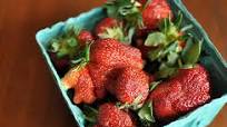 Small Batch Strawberry Rhubarb Jam Small Batch Strawberry Rhubarb Jam