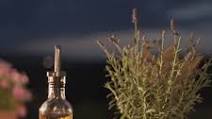 Lavender & Rosemary Infused Olive Oil Lavender & Rosemary Infused Olive Oil