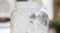 Sourdough Starter Sourdough Starter