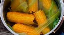 Tiempo de Cocción de Elotes en Olla Express Tiempo de Cocción de Elotes en Olla Express
