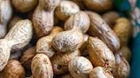 Boiled Peanuts Boiled Peanuts