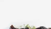 Balsamic Glazed Pork Chops Recipe Balsamic Glazed Pork Chops Recipe