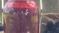 Sugarless Blackberry Juice Sugarless Blackberry Juice