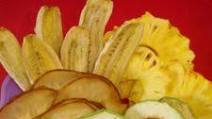 Natural Fruit Chips Recipe in the Dehydrator - Gluten Free & Vegan Natural Fruit Chips Recipe in the Dehydrator - Gluten Free & Vegan