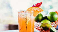 Highland Margarita Highland Margarita
