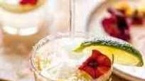 Sparkling Lemon Lime Margaritas Sparkling Lemon Lime Margaritas
