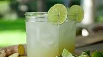 Ginger Lime Soda Ginger Lime Soda