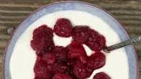 Protein Powder Greek Yogurt Protein Powder Greek Yogurt