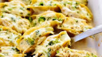 Chicken Broccoli Alfredo Stuffed Shells Chicken Broccoli Alfredo Stuffed Shells
