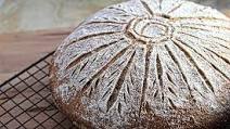 Foolproof Whole Wheat Artisan Bread Foolproof Whole Wheat Artisan Bread