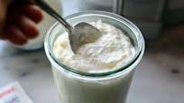 Homemade Yogurt and Greek Yogurt Homemade Yogurt and Greek Yogurt