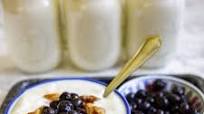 Instant Pot Greek Yogurt Instant Pot Greek Yogurt