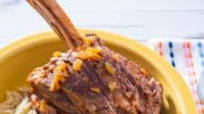 Pressure Cooker Greek Lamb Shanks with Tomatoes (Arnaki Kokkinisto) Pressure Cooker Greek Lamb Shanks with Tomatoes (Arnaki Kokkinisto)