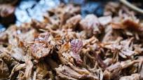 Tender & Crispy Venison Carnitas Tender & Crispy Venison Carnitas