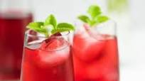 Hibiscus Drink Recipe Hibiscus Drink Recipe
