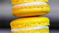 Lemon Macarons Lemon Macarons
