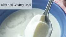 Homemade Indian Yogurt Dahi Recipe Homemade Indian Yogurt Dahi Recipe