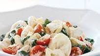 Cheese and Spinach Tortellini Pasta Salad Cheese and Spinach Tortellini Pasta Salad