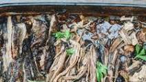 No Nonsense Pulled Brisket | SCD, GAPS, Paleo, Low oxalate, Low FODMAP No Nonsense Pulled Brisket | SCD, GAPS, Paleo, Low oxalate, Low FODMAP