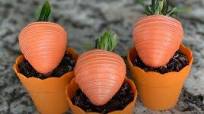 Carrot Chocolate-Covered Strawberries Recipe Carrot Chocolate-Covered Strawberries Recipe