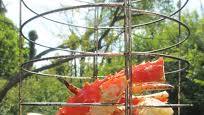 Crab Legs on the Char-Broil Big Easy Crab Legs on the Char-Broil Big Easy