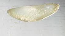 Jim Lahey's Pizza Dough Jim Lahey's Pizza Dough