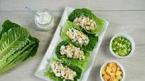 Low-Carb Greek Yogurt Chicken Salad Lettuce Wraps with Mango Low-Carb Greek Yogurt Chicken Salad Lettuce Wraps with Mango