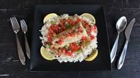 CanCooker's Favorite: Walleye Filet Festival CanCooker's Favorite: Walleye Filet Festival