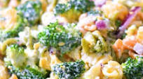 Broccoli Cheddar Pasta Salad Recipe Broccoli Cheddar Pasta Salad Recipe