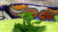 Avocado Salsa Avocado Salsa