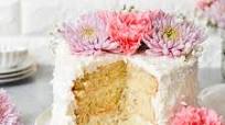 Coconut Dream Cake Coconut Dream Cake