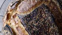 Sourdough Bread with All-Purpose Flour Sourdough Bread with All-Purpose Flour