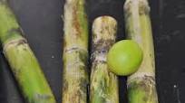 Karimbu Juice: Sugarcane Juice Karimbu Juice: Sugarcane Juice