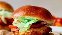 Frozen Turkey Burger in Air Fryer Frozen Turkey Burger in Air Fryer
