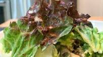 Recipe of Bobby Flay Caesar salad dressing Recipe of Bobby Flay Caesar salad dressing