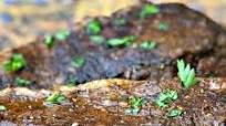 Air Fryer Marinated Steak with {VIDEO} Air Fryer Marinated Steak with {VIDEO}