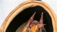 Guinea Fowl Baked with Thirty Cloves of Garlic Guinea Fowl Baked with Thirty Cloves of Garlic