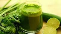 Bitter Gourd Juice Recipe | Bitter Melon Juice | Karela Juice Bitter Gourd Juice Recipe | Bitter Melon Juice | Karela Juice