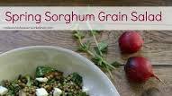 Spring Sorghum Grain Salad Recipe Spring Sorghum Grain Salad Recipe