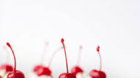 Mini Cheesecakes Mini Cheesecakes