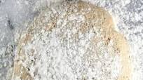 Whole Wheat Pizza Dough Whole Wheat Pizza Dough