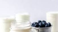 Homemade Crockpot Yogurt Homemade Crockpot Yogurt