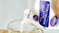 Heavy Cream Substitute Heavy Cream Substitute