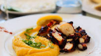 Octopus Hummus Octopus Hummus