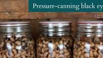 Canning black-eyed peas Canning black-eyed peas
