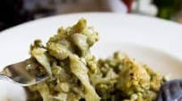 Creamy Cauliflower Noodles with Citrus Basil Sauce Creamy Cauliflower Noodles with Citrus Basil Sauce
