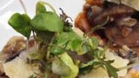 Mushroom, Caramelized Onions & Truffle Bruschetta Mushroom, Caramelized Onions & Truffle Bruschetta