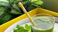 Celery Juice Celery Juice